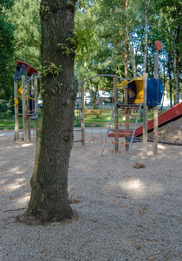 Spielplatzansicht mit Baum im Vorder- und Wald im Hindergrund
